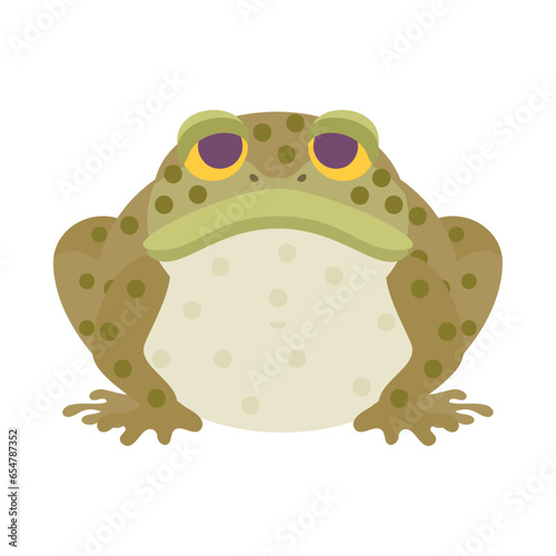 ヒキガエル。フラットなベクターイラスト。
Toad. Flat designed vector illustration.