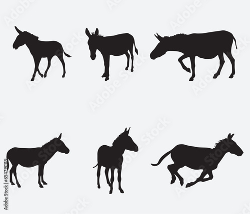 A set of detailed high quality donkey farm animal silhouettes