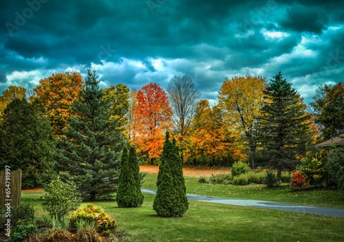 Beautiful Autumn forest background.