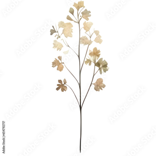 Neutral wildflower clipart © Rawitcha