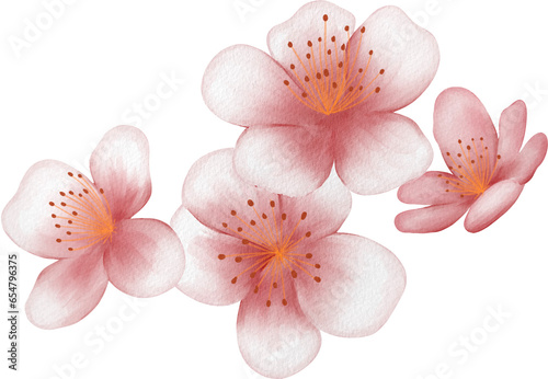 blossom sakura watercolor PNG paper