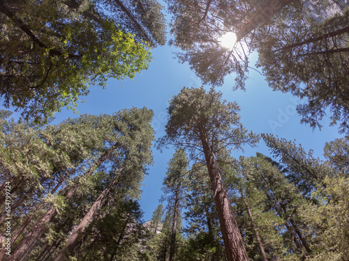 Canvas Print View of the famous Yosemite Valley in the Yosemite National Park, Sierra Nevada mountain range in California, USA