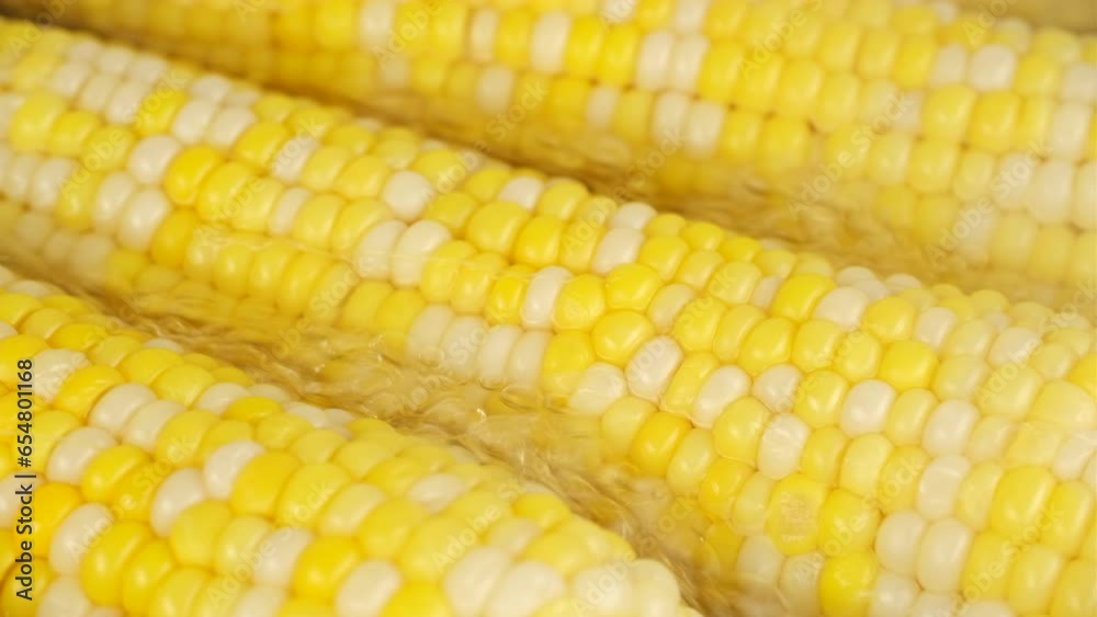 Sweet corn cobs in boiling water Sweet corn cobs in boiling water