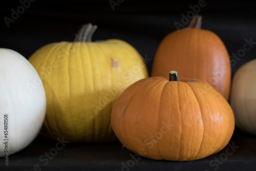 variety of pumpkins in harvest season
