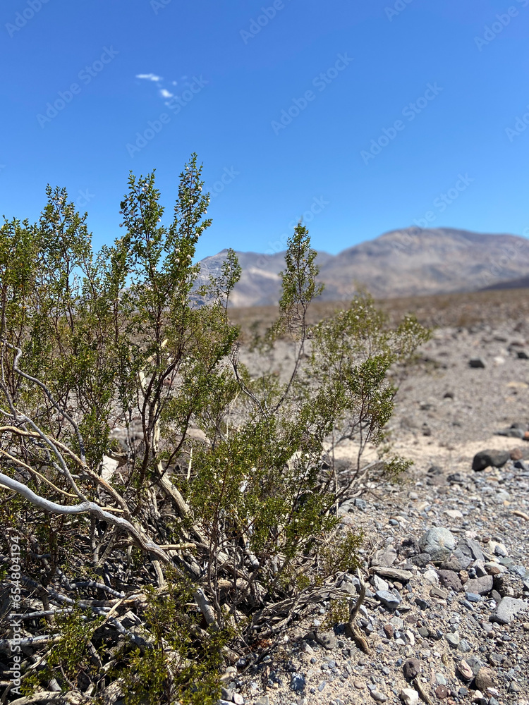 Panamint Mountains in Death Valley National Park, California, United States. Panamint Mountains in Death Valley National Park, California, United States.