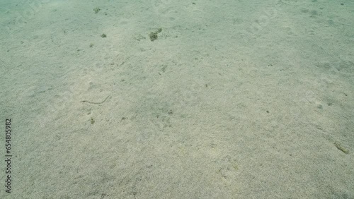 Camera moving forwards abowe glare of sunlight on sandy bottom, Slow motion. Natural underwater background with sun glare on sand seabed. Background with sunbeams at seafloor  photo