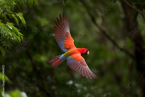 Scarlet parrot soars through lush woods. Generative AI
