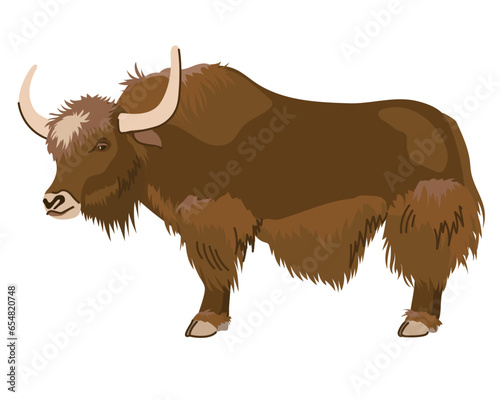 A brown yak with a long coat. A pet in Nepal and Tibet. Vector, cartoon style. Dairy cattle, big cow.