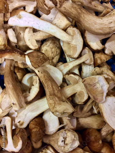 Heap with sliced fresh edible cep mushrooms ready for frying or to sell on the farmers market.