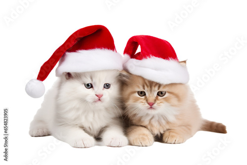 Cute kittens or Cat wearing Christmas Santa Claus hat on a white background studio shot
