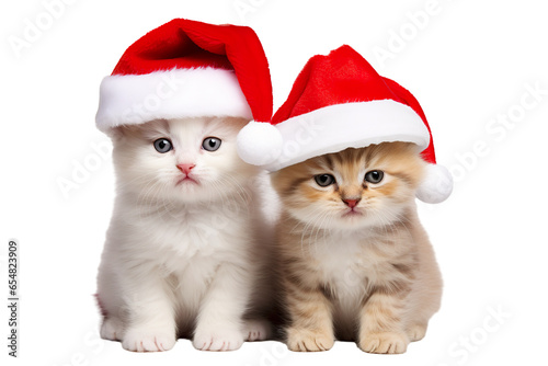 Cute kittens or Cat wearing Christmas Santa Claus hat on a white background studio shot © JetHuynh