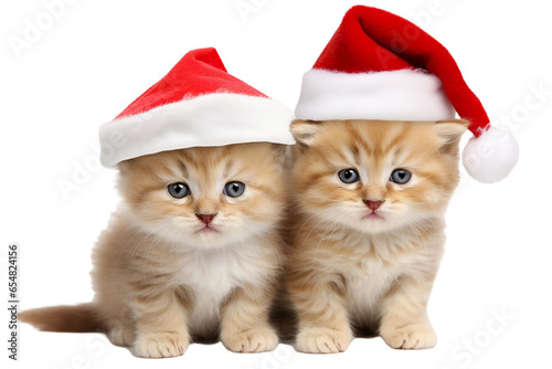 Cute kittens wearing Christmas Santa Claus hat on a white background studio shot © JetHuynh