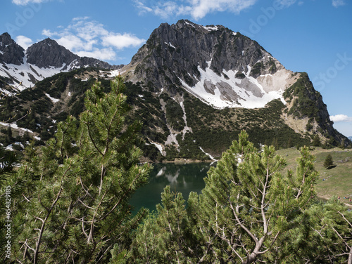 Rubihorn Allgäu photo