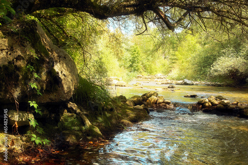 Picturesque shady river backwater of the mountain river with large mossy boulders. photo