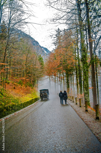 Fuessen, Germany, a horse drawn carriage and walking peaople, a young couple of man and woman, going through forest in Alps in Autumn colors