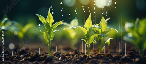 Precision agriculture 4 0 IoT enabled smart farming for growing corn seedlings with infographics with copyspace for text photo