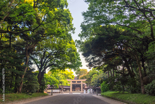 Canvas Print Meiji Jingu Shinto shrine in Tokyo, Japan