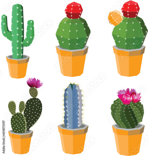 Tropical vector illustration of cactus flowers with different varieties in white background