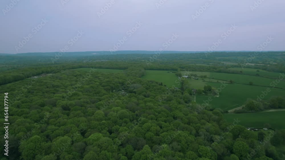 Scenic 4K aerial video above the forest Scenic 4K aerial video above the forest