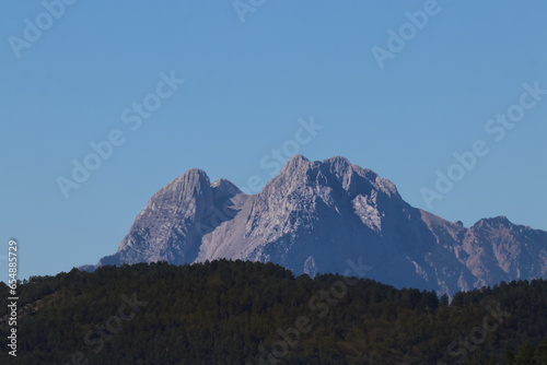 Dos cumbres rocosas aparecen detrás de un bosque photo
