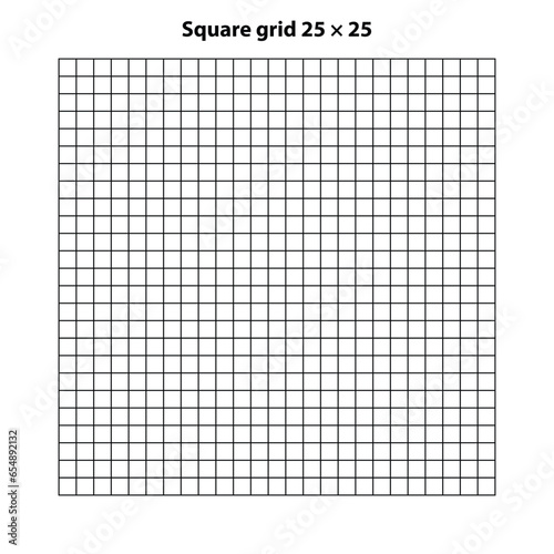 Square grid with 25 by 25 squares, grid texture background, vector illustration. White backdrop with abstract grid lines and black square lines.