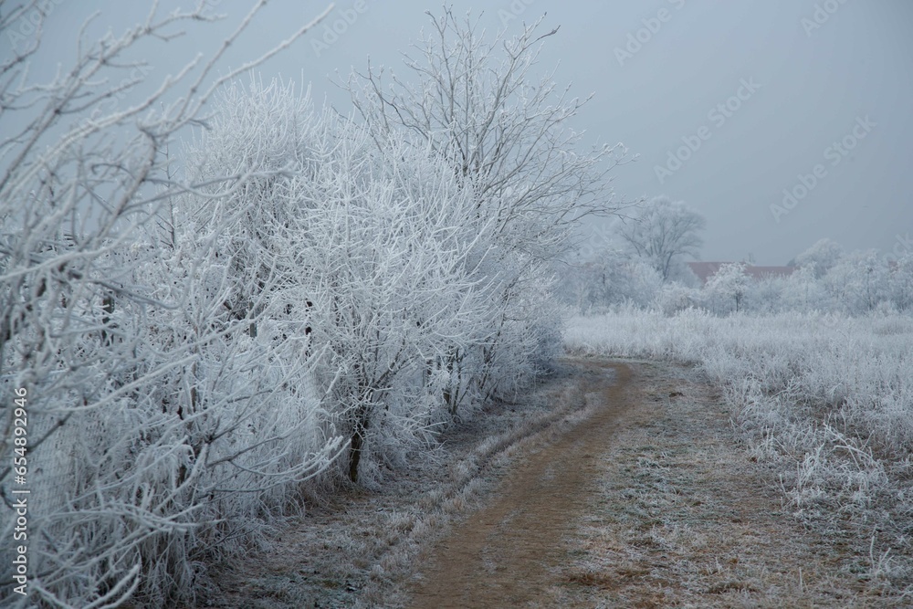 Fototapeta premium Winter's Peace Along Marchfeldkanal