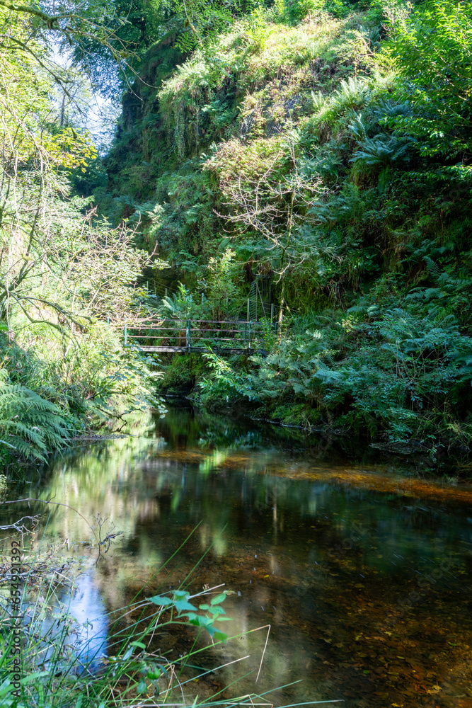 The river Lyd flowing through Lydford Gorge in Devon The river Lyd flowing through Lydford Gorge in Devon