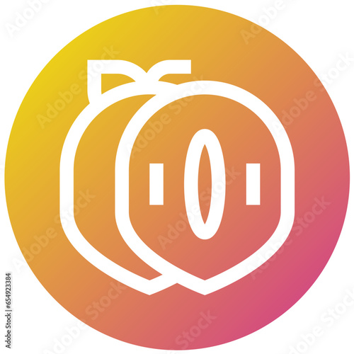 Sapodilla Vector Icon Design Illustration