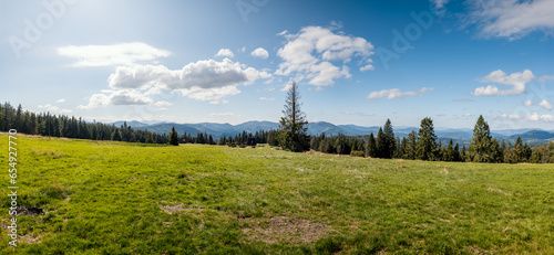 Fototapeta Naklejka Na Ścianę i Meble -  Beautiful panorama of the Beskid Mountains. View from Krawcow Wierch. Mountain meadow. Beskid Żywiecki, Poland