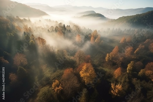 Breathtaking aerial view of a mystical forest with colorful fog and mythical creatures in the day, infused with fantasy. Generative AI photo