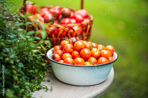 Table with a variety of baskets and bowls filled with ripe tomatoes