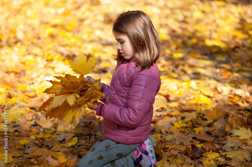 child collecting leaves in autumn park