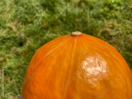 An orange pumpkin against green background 