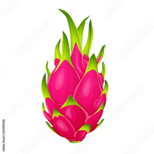 summer tropical fruits for healthy lifestyle red dragon fruit whole fruit and half vector illustration flat cartoon icon isolated on white.Vector eps 10