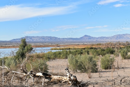 Landscape in the desert: Havasu National Wildlife Refuge, Topock, Arizona, USA. photo