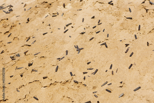 Bullet shells lie on the sand