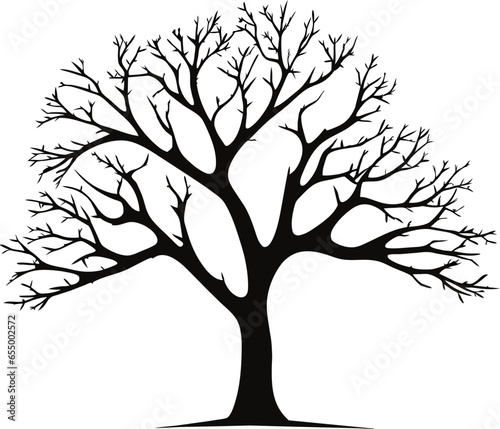 Silhouette of a tree, branches. Vector illustration