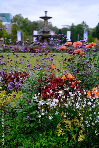 Dusseldorf, Germany - September 29th, 2023: A view of a nice garden at Koenigsalle in the center. photo