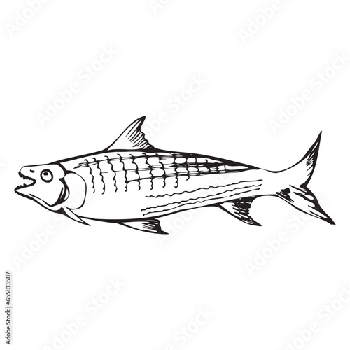 Minimalistic drawing of a fish. Scrapbooking. Line art. Vector illustration
