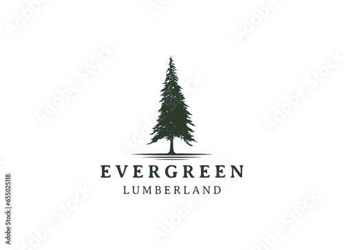 pine evergreen fir hemlock spruce conifer cedar coniferous cypress larch pinus tree forest vintage retro hipster line art Logo design