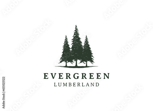 pine evergreen fir hemlock spruce conifer cedar coniferous cypress larch pinus tree forest vintage retro hipster line art Logo design