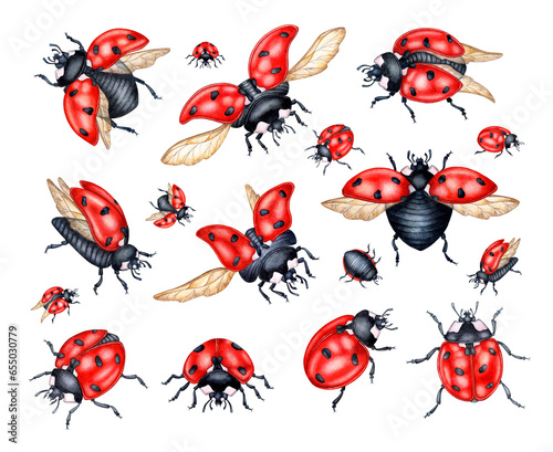 Watercolor illustration set of red ladybugs with black dots. flying insects isolated composition for kitchen, home decor, stationery, wedding invitations and clothing printing. © AliCris