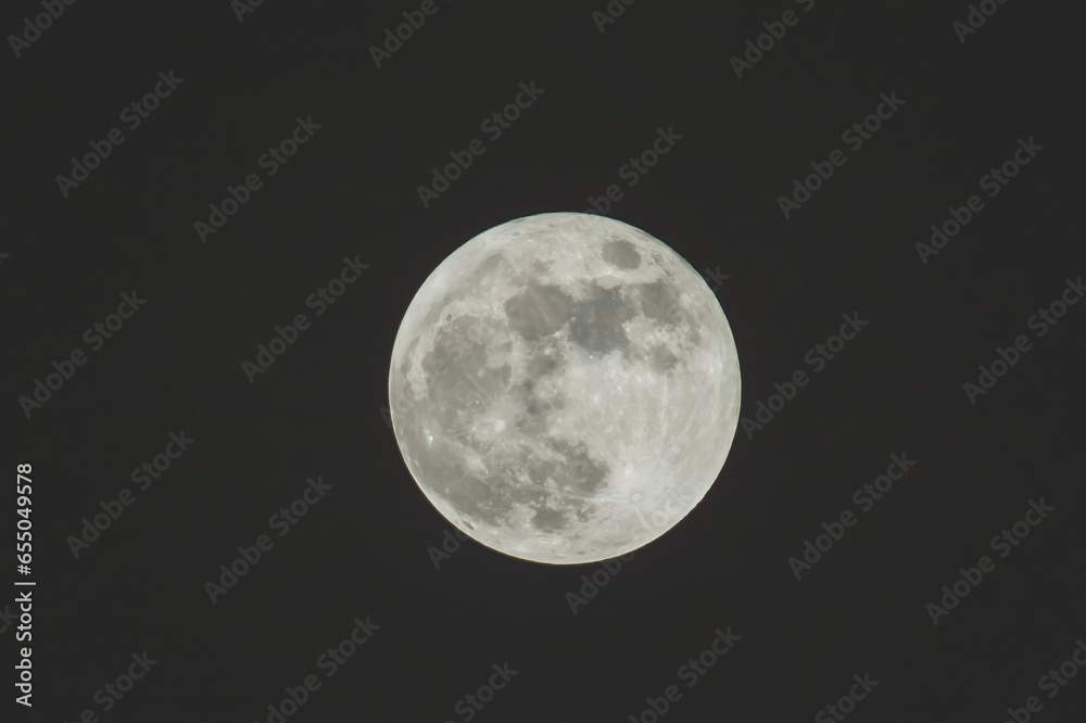 a Full moon on the dark night a Full moon on the dark night