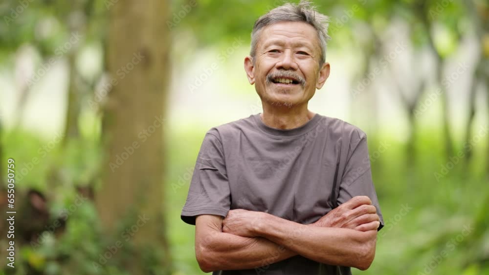 elderly asian farmer beams with pride and wisdom on his rural land, portrait