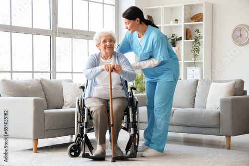 Senior woman in wheelchair with stick and nurse at home