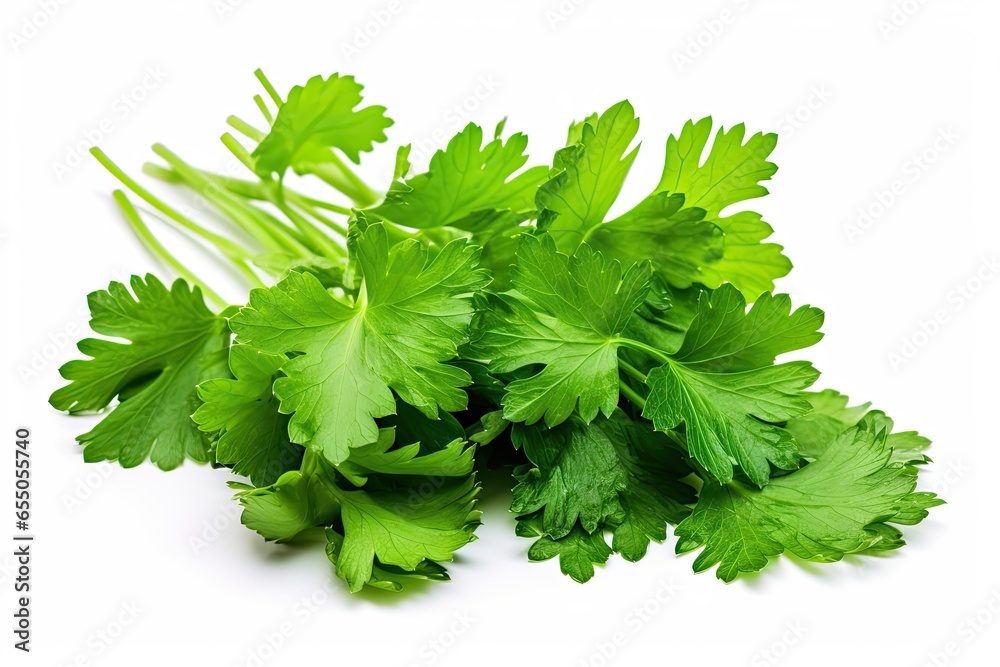Fresh green coriander leaves, isolated against a pristine white background. Generative AI Fresh green coriander leaves, isolated against a pristine white background. Generative AI