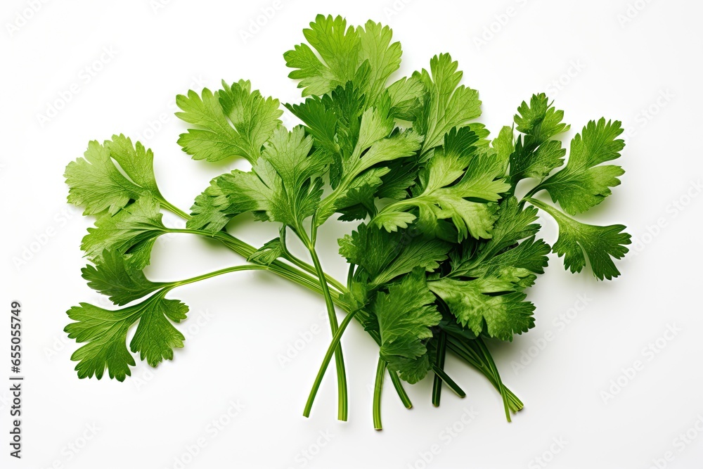 Fresh green coriander leaves, isolated against a pristine white background. Generative AI Fresh green coriander leaves, isolated against a pristine white background. Generative AI