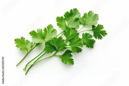 Fresh green coriander leaves, isolated against a pristine white background. Generative AI