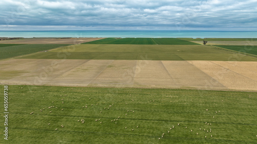 Aerial photograph of land plots in the farming countryside of the South Island New Zealand close to the coast and ocean