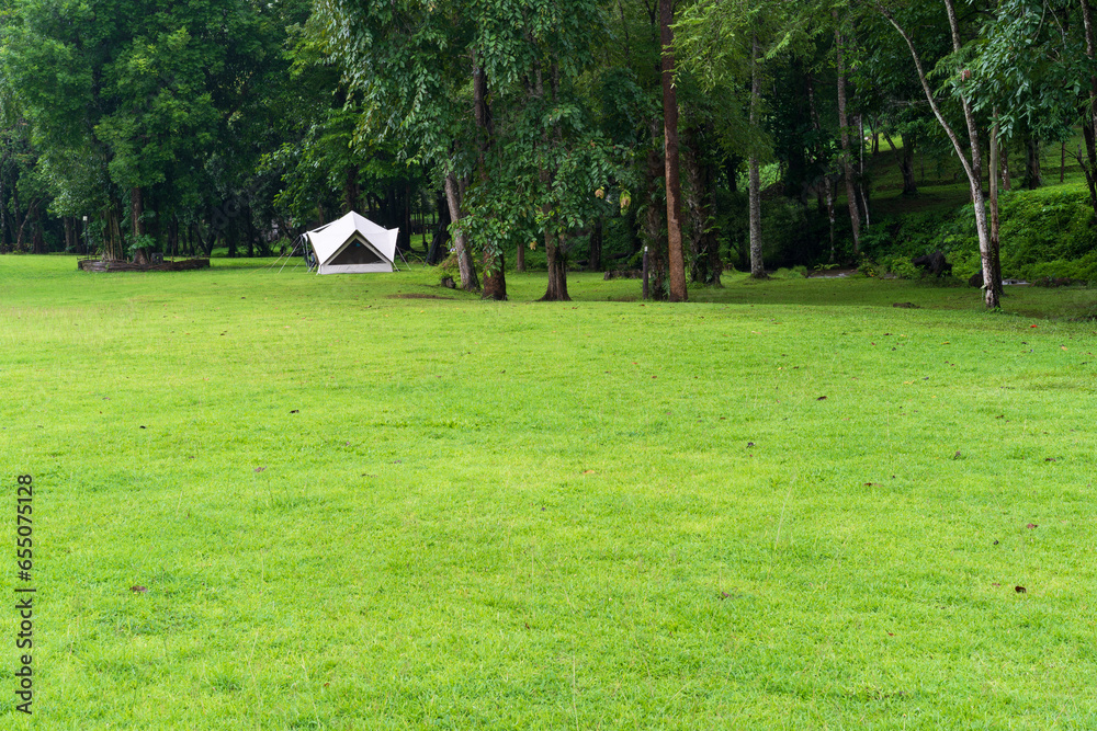 nature landscape camping or white glamping cabin tent on green grass lawn or garden meadow campground and tree with camper family holiday vacation at khao laem national park in ka teng cheng waterfall - obrazy, fototapety, plakaty 